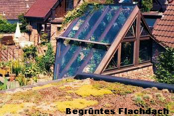 Begrntes Flachdach